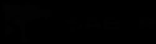 Saber Interactive logo