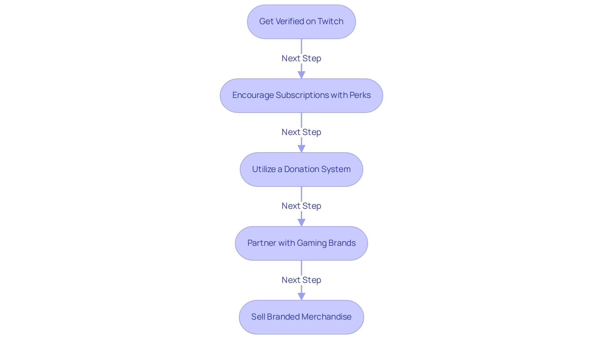 Each box represents a step in the monetization process, with the color coding indicating different strategies.